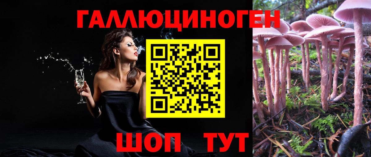 Новоалтайск  Псилоцибиновые грибы ЛСД  Вход с VPN 
